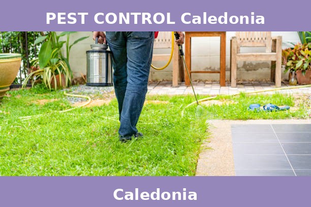 PEST CONTROL Caledonia